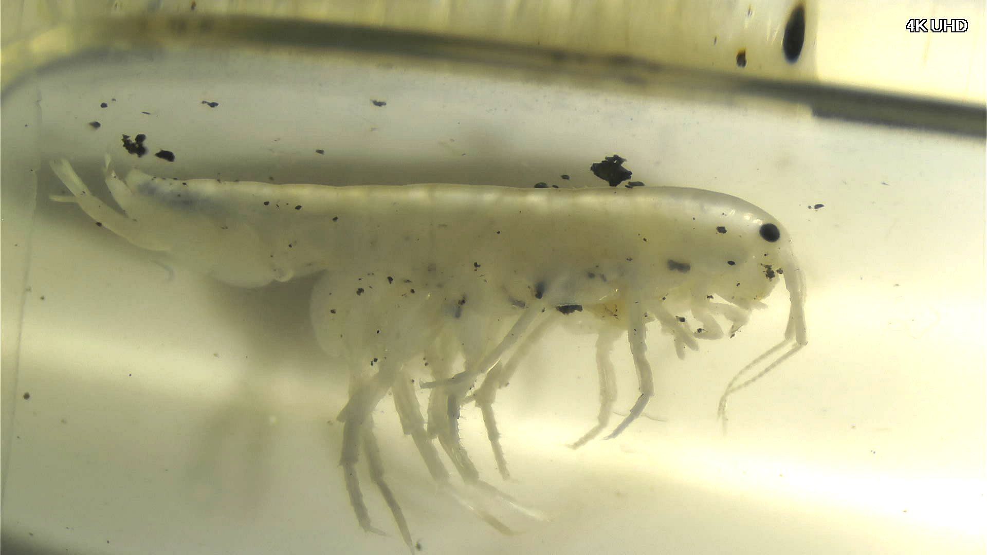 20251225 11094220251211 062350 925