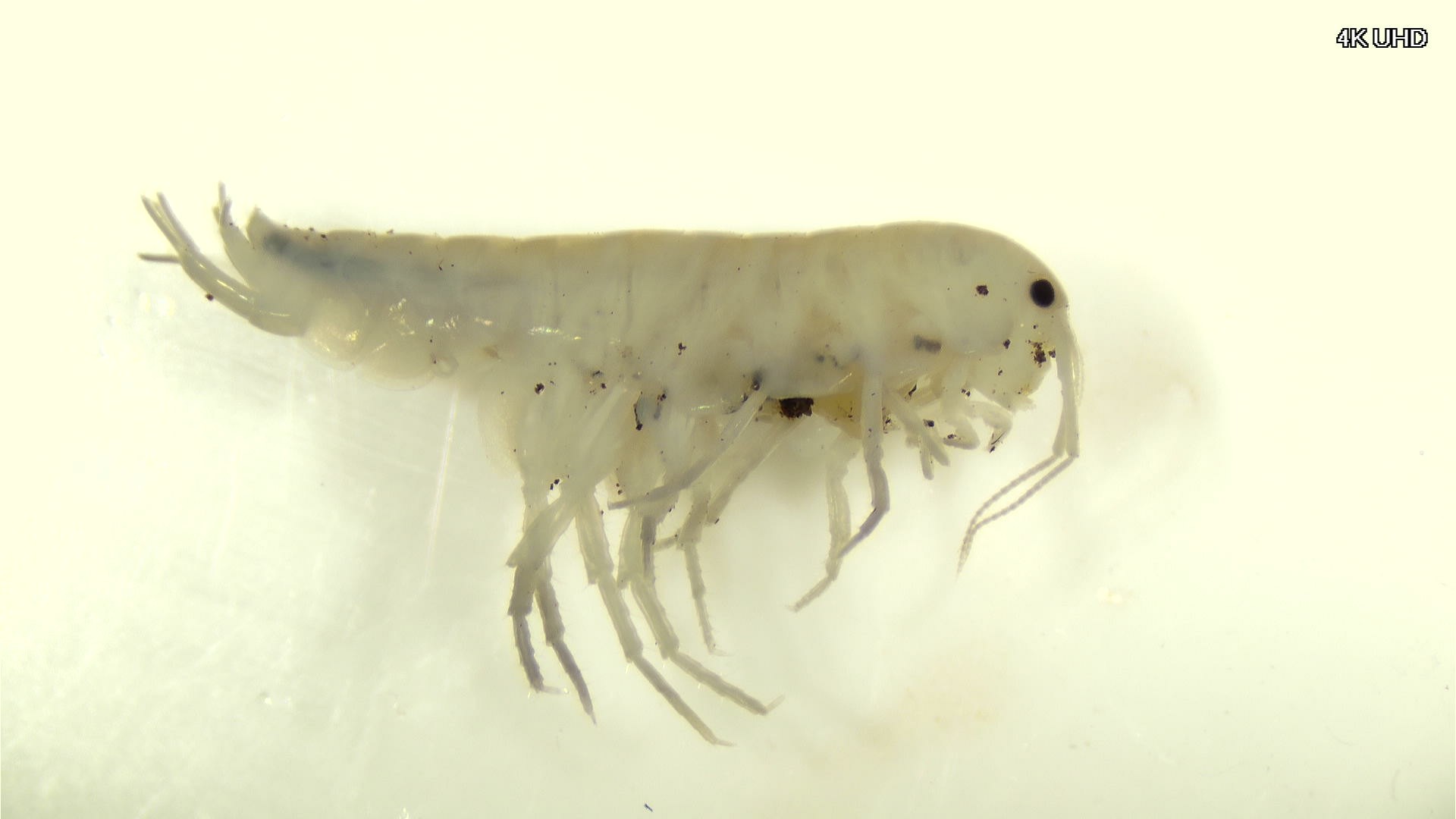 20251226 074032 20251226 183203 833