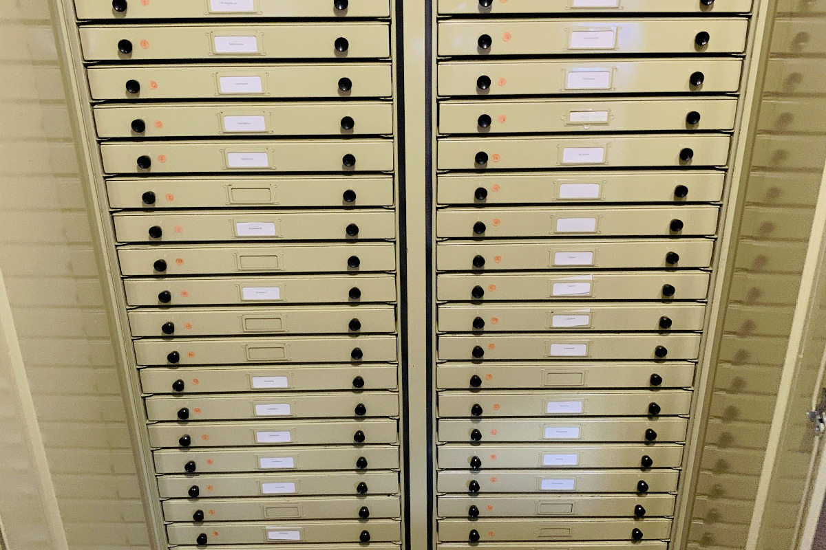 55206432 1615521267947067 r